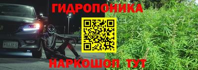 стафф Бугуруслан