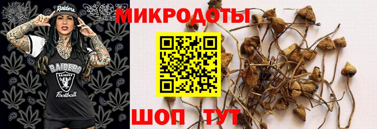 Псилоцибиновые грибы мицелий Шадринск